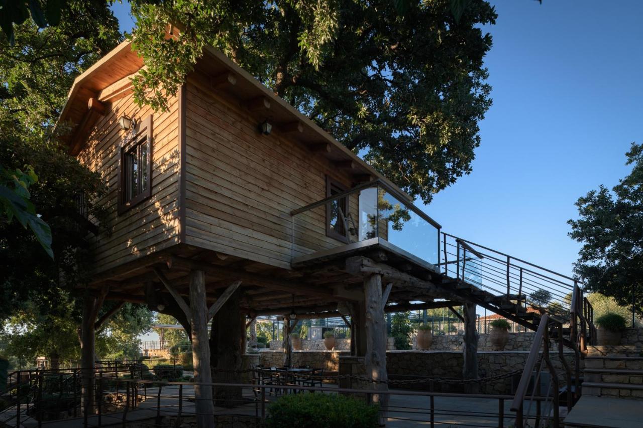 앗시파프론 Stolidi Mou Treehouse 빌라 외부 사진