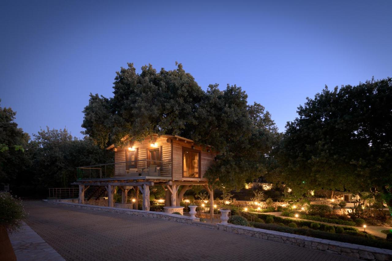 앗시파프론 Stolidi Mou Treehouse 빌라 외부 사진
