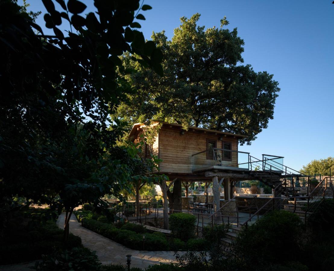 앗시파프론 Stolidi Mou Treehouse 빌라 외부 사진