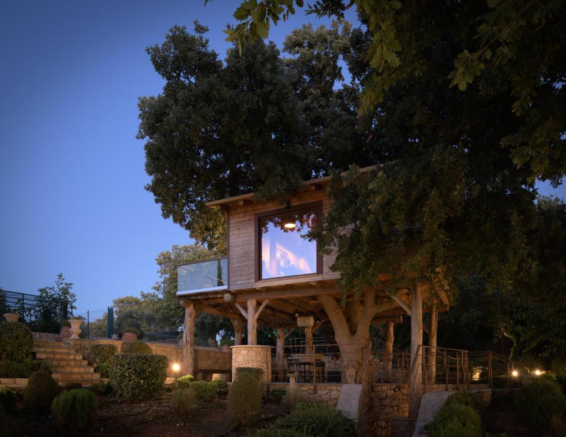 앗시파프론 Stolidi Mou Treehouse 빌라 외부 사진
