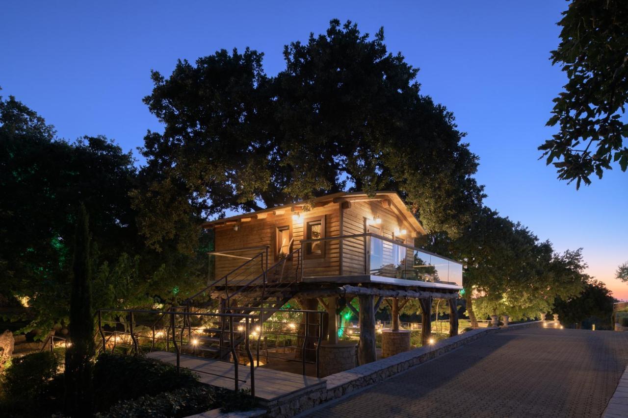앗시파프론 Stolidi Mou Treehouse 빌라 외부 사진